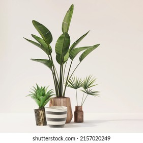 Indoor Tropical Houseplants. 3D Render Of Variety Tropical Plants In The Room With Morning Sun Light. Background, Natural Air Purify, Home Decoration, Green Living, Decoration, Potted, Palm, Banana.