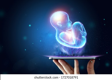 Infant, A Child In A Fetal Position, An Embryo, A Hologram On A Dark Background. Pregnancy Concept, Artificial Insemination, Copy Space