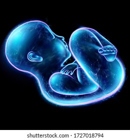 Infant, A Child In A Fetal Position, An Embryo, A Hologram On A Black Background. The Concept Of Pregnancy, Artificial Insemination. 3D Illustration, 3D Rendering