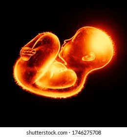 Infant, A Child In A Fetal Position, An Embryo, A Hologram On A Black Background. The Concept Of Pregnancy, Artificial Insemination. 3D Illustration, 3D Rendering