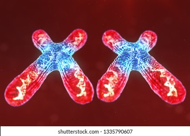 chromosome Images; Stock Photos & Vectors | Shutterstock
