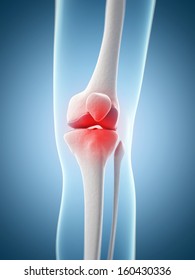 Anatomy Human Knee Knee Pain 3d Stock Illustration 1455991484