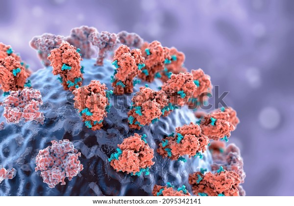 Influenza\
virus, 3D illustration showing surface glycoprotein spikes\
hemagglutinin and neuraminidase. The hemagglutinins have glycans\
(blue) that modulate immune response to the\
flu