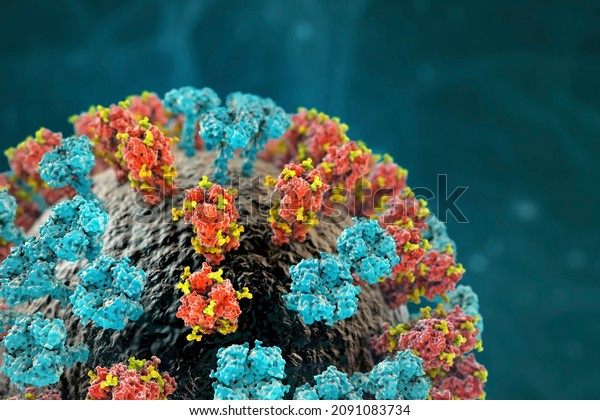 Influenza virus H3N2 closeup view, 3D\
illustration showing surface glycoprotein spikes hemagglutinin and\
neuraminidase. The hemagglutinins have glycans (yellow) modulating\
immune response to the\
flu
