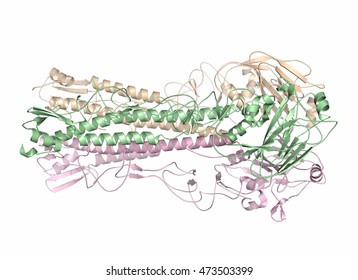 Influenza Virus Hemagglutinin Protein Trimer, 3D Rendering, Cartoon Representation