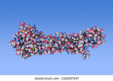 Influenza Virus Hemagglutinin. Space-filling Molecular Model On Blue Background. Rendering Based On Protein Data Bank Entry 2viu. Scientific Background. 3d Illustration