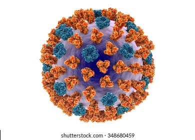 Influenza Virus Isolated On White Background Showing Surface Glycoprotein Spikes Hemagglutinin (red) And Neuraminidase (blue) Built Using Data Of Molecular Structure From Protein Data Bank