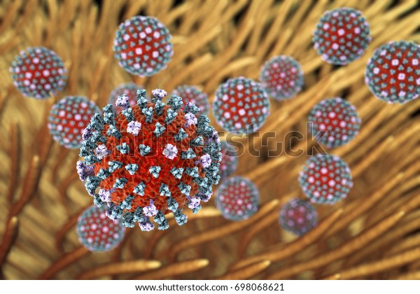 Influenza viruses infecting respiratory system.\
3D illustration showing influenza surface glycoprotein spikes\
hemagglutinin blue and neuraminidase purple, and ciliated\
epithelium of\
airways