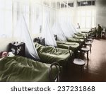 An influenza ward at the U S Army Camp Hospital in Aix-les-Bains France during the Spanish Flu epidemic of 1918-19, 1918 photograph with digital color.