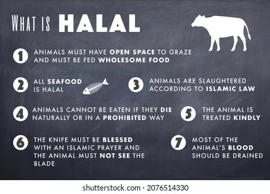 117 Halal Infographic Images, Stock Photos & Vectors | Shutterstock