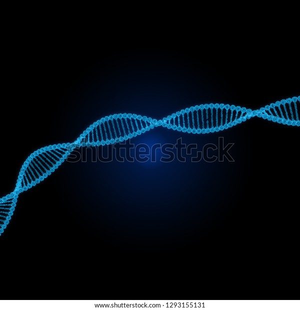 shutterstock