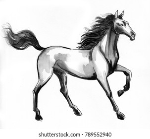 84,048 Drawing white horse Images, Stock Photos & Vectors | Shutterstock