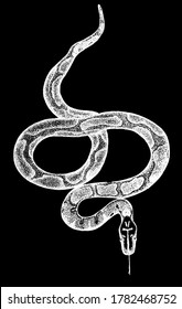 Ink Cobra Snake On White Stock Illustration 1719760813