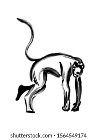 Ink Brush Painting Monkey Black Paint Stock Illustration 1564549174 ...