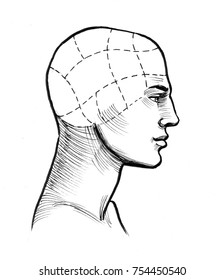 Ink Drawing Head Chart Stock Illustration 754450540