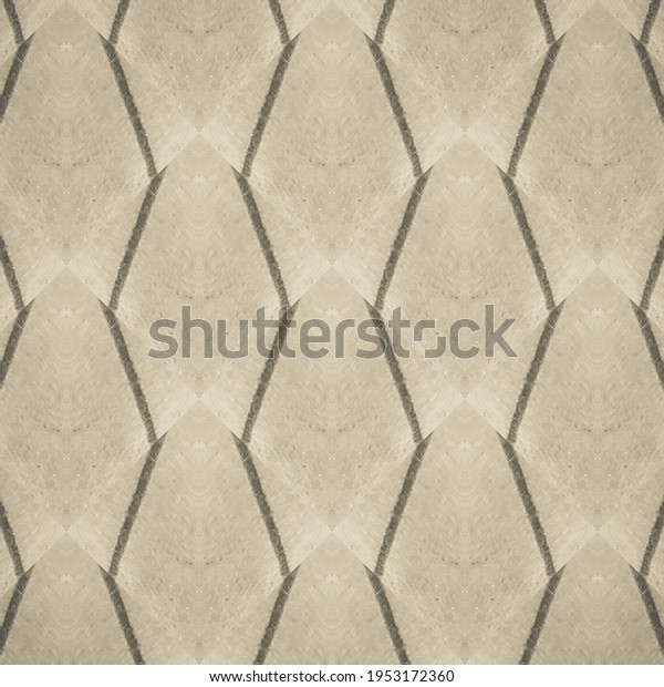 Ink Sketch Pattern. Black Tan Drawing. Gray\
Simple Paper. Scribble Paint Texture. Geometric Template. Graphic\
Print. Gray Rough Texture. Black Line Sketch. Line Classic Paper.\
Sepia Geometry.