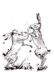 Ink Sketch Of Two Hares Fighting. A Traditional Sketch Of Two March Hares Fighting. Female Hare Fighting Off A Male Hare During Mating Season. Loose And Artistic Render Of Fighting Hares. 