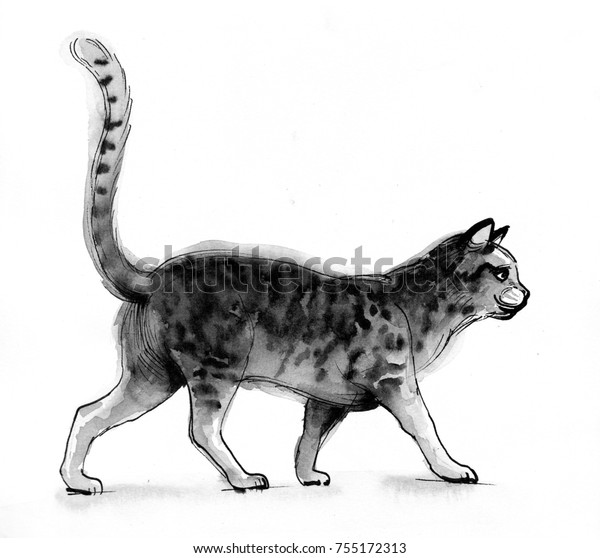 Ink Sketch Walking Cat Stock Illustration 755172313