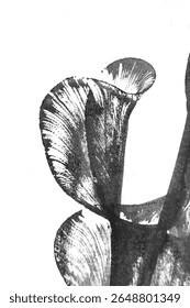 ink and thread drawing technique, abstract image in black ink, ink prints, blot, stain, blotch, graphic drawing, abstract texture background, ink effect with thread