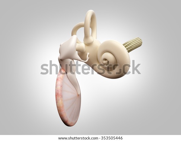 3d auditory capture dissertation recreation scene