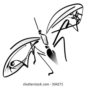 Insect Black White Illustration Stock Illustration 334271 