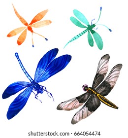 Set Different Dragonflies Vector Illustration Eps8 Stock Vector ...