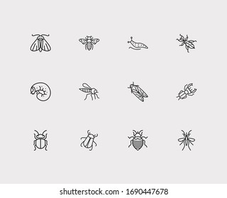 Insect Icons Set. Bee And Insect Icons With Cicada, Slug And Bedbug. Set Of Stinging For Web App Logo UI Design.