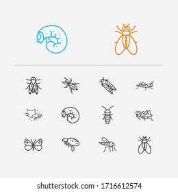 Insect icons set. Cabbage butterfly and insect icons with robber fly, cicada and louse. Set of disease for web app logo UI design.