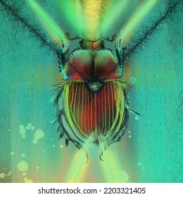 Insect, Scarab Beetle, Light, Amulet, Graphics, Turquoise