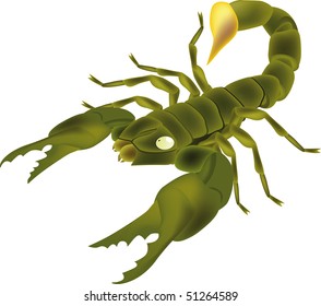 Cartoon Scorpion Images, Stock Photos & Vectors | Shutterstock