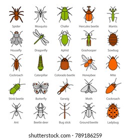 Insects Color Icons Set Bugs Entomologist Stock Vector (Royalty Free ...