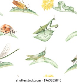 Insects, praying mantis, grasshopper, beetle, ladybug, dragonfly on leaves and blades of grass on a white background. Watercolor seamless pattern