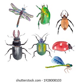 Insects Set On The White Background. Colorful Background For Fabric, Wallpapers, Gift Wrapping Paper, Scrapbooking. Design For Kids.