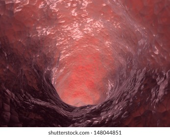 Inside Artery. Anatomic Background