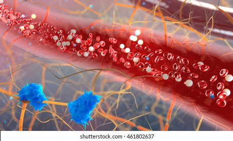 inside the blood vessel, white blood cells inside the blood vessel, High quality 3d render of blood cells, Red and white blood cells in artery. 3d illustration