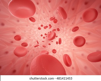 Inside Space Of Empty Healthy Human Anatomical Vessel With Red Blood Cells - Erythrocytes And Endothelium Cells, 3d Rendering