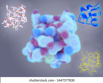 Insulin Hormone That Regulates Metabolism Carbohydrates Stock ...