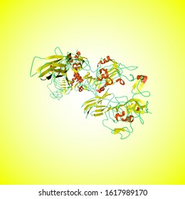 Insulin Receptor Ectodomain In Complex With One Insulin Molecule. It Has A Crucial Role In Controlling Glucose Homeostasis, Regulating Lipid, Protein And Carbohydrate Metabolism.3d Illustration