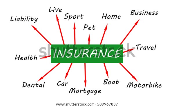 Insurance mind map on white\
background