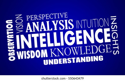 Intelligence Business Knowledge Information Words 3d Illustration