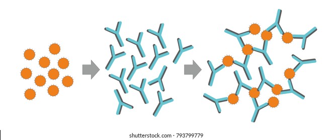 Resultado de imagen de antigeno anticuerpo