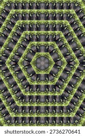 Interactive Visual Puzzle: Stereogram with Hidden Image 

An engaging visual trick, What appears to be an abstract green pattern is actually a stereogram with a surprise 3D picture waiting to be found.