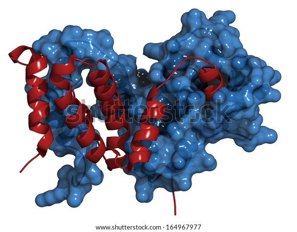 インターフェロンガンマ Ifng サイトカイン 分子 化学構造 大理石骨病や慢性肉芽腫性疾患の治療に用いられる組み換え型 1つのチェーンカートーンモデル サーフェス 他のカートーン のイラスト素材