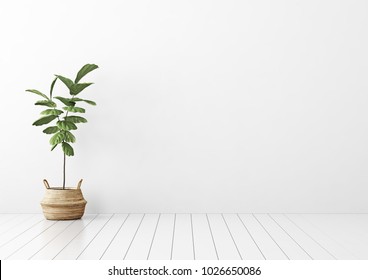 37,097 Green ficus tree plants Images, Stock Photos & Vectors ...