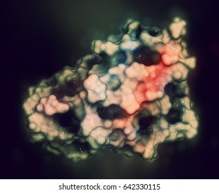 Interleukin 4 (IL-4, Human, Recombinant) Protein. Cytokine That Induces Differentiation Of Naive Helper T Cells To Th2 Lymphocytes. 3D Rendering Based On Protein Data Bank Entry 2int. 