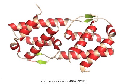 サイトカイン の画像 写真素材 ベクター画像 Shutterstock