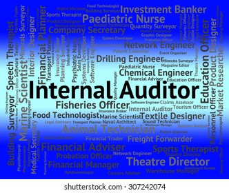 Internal Auditor Meaning Auditing Words And Inspectors