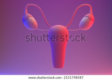 Internal genital female organs. uterus and ovaries. 3D render. [[stock_photo]] © 