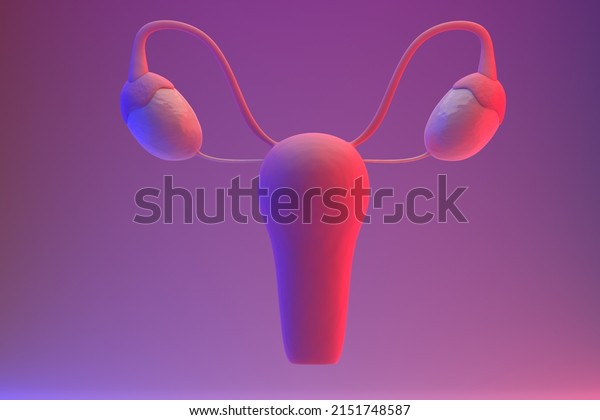 Internal genital female organs. uterus and\
ovaries. 3D\
render.