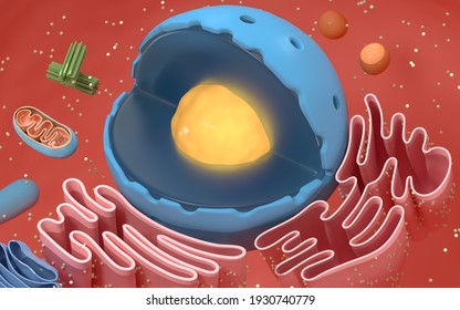 Internal Structure Animal Cell 3d Rendering Stock Illustration ...